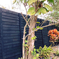 Bella Fence wood privacy louvered black